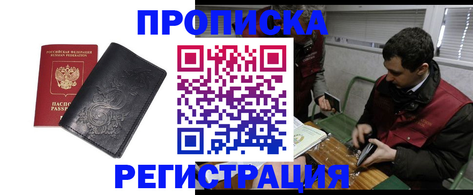 прописка поиск в Камышине